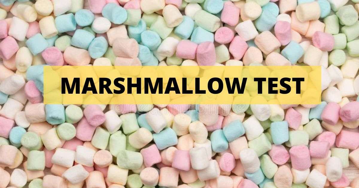 what is the purpose of the marshmallow test
